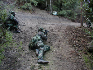 battle7.jpg